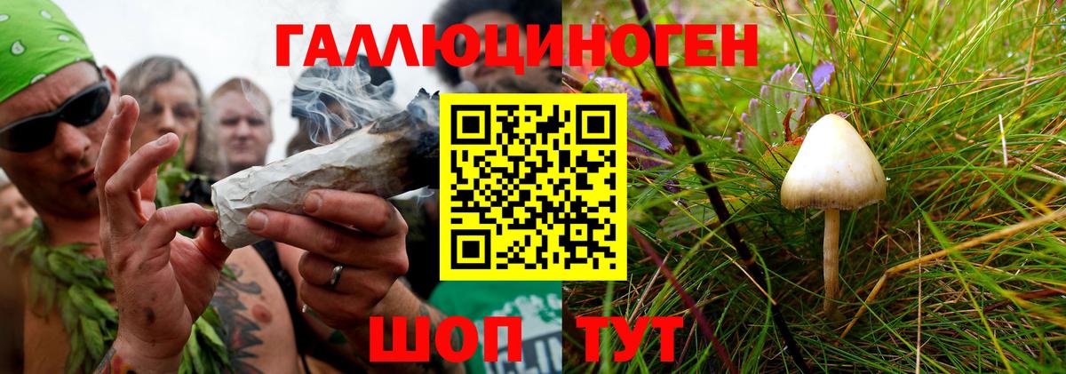 Галлюциногенные грибы Cubensis  Галлюциногенные грибы Psilocybine cubensis  Вход с VPN  Мичуринск 
